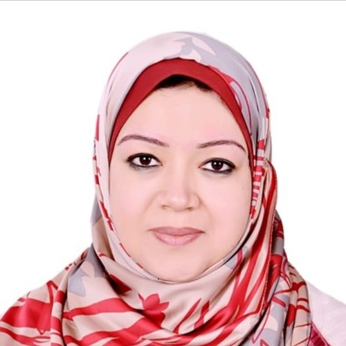 Dr. Shimaa Abdelsattar