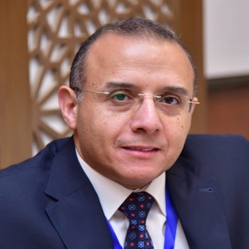 Prof. Mohamed El-Abgeegy